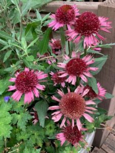 Successful Transition To Retirement Living